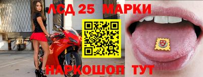 гидра Пенза