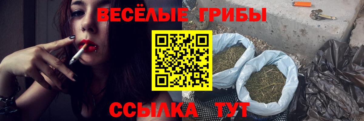 дарнет шоп  Галлюциногенные грибы Psilocybe  Вход с VPN  Псков 